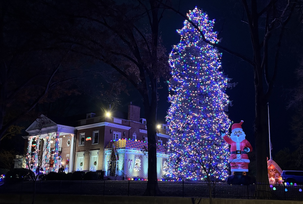 Night photo of a decorated tree and house