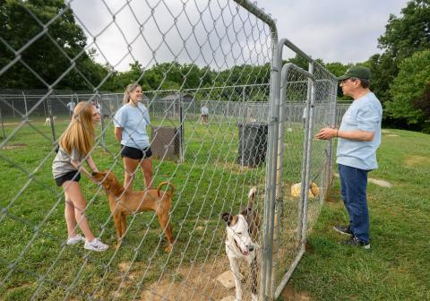 Three people talk while taking care of animals