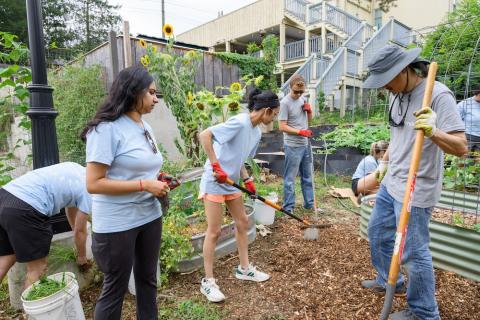 Male and female students work in a garden.